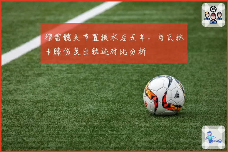 穆雷髋关节置换术后五年,与瓦林卡膝伤复出轨迹对比分析