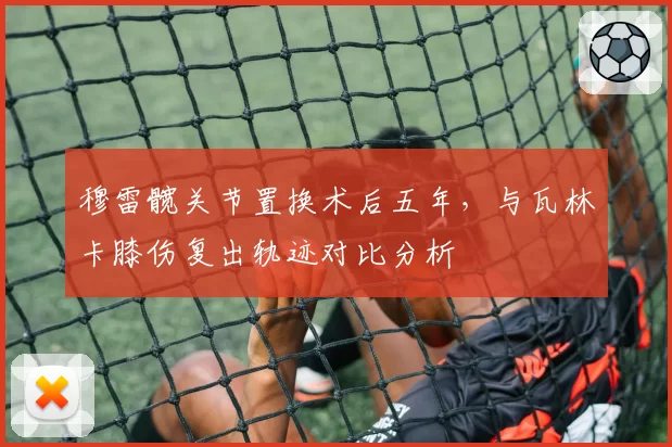 穆雷髋关节置换术后五年，与瓦林卡膝伤复出轨迹对比分析