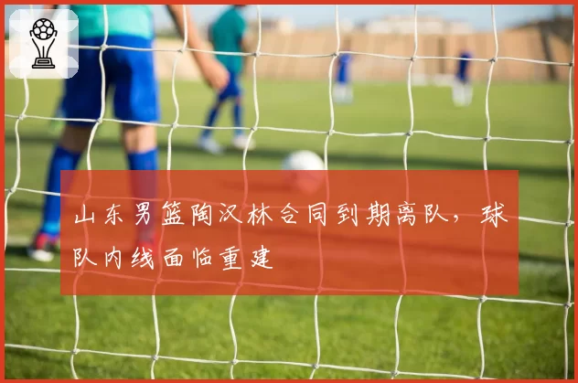 山东男篮陶汉林合同到期离队，球队内线面临重建