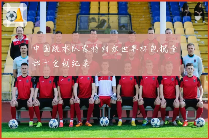 中国跳水队蒙特利尔世界杯包揽全部十金创纪录